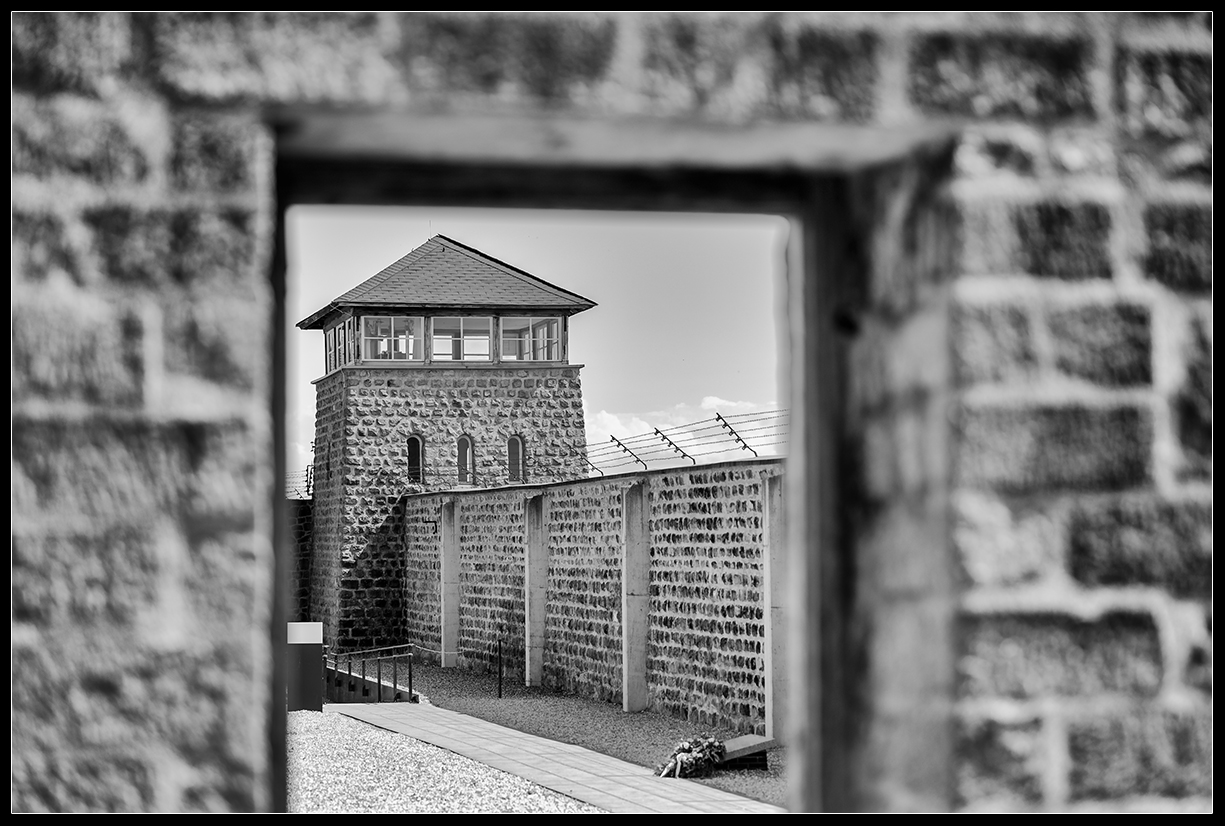KZ Mauthausen 2023/24