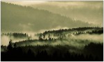 Nebel über dem Böhmerwald