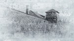 KZ Mauthausen 2023/2