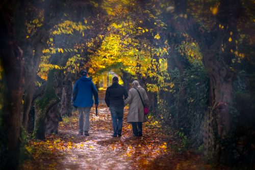 Stift Reichersberg 2025 VIII