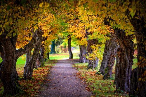 Stift Reichersberg 2025 XI