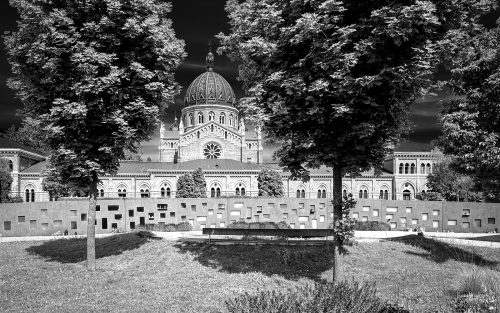 Zentralfriedhof Graz 2026 VI