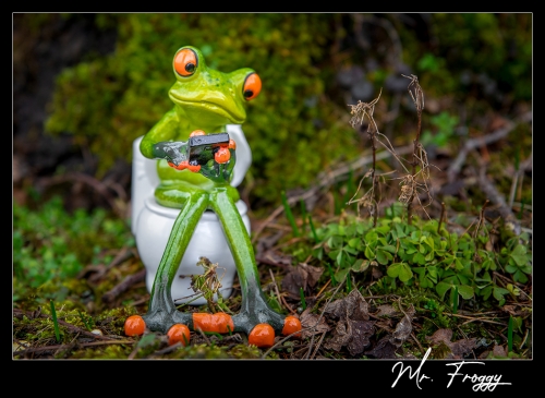 Mr. Froggy II