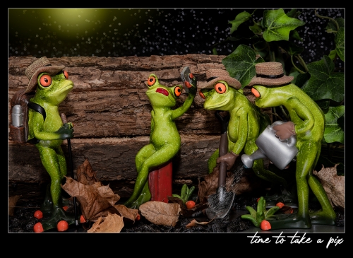 time to take a pix
