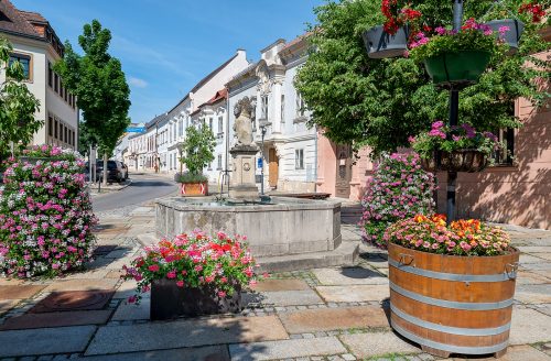 Eisenstadt 2026 V