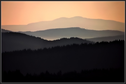 Waldschichten