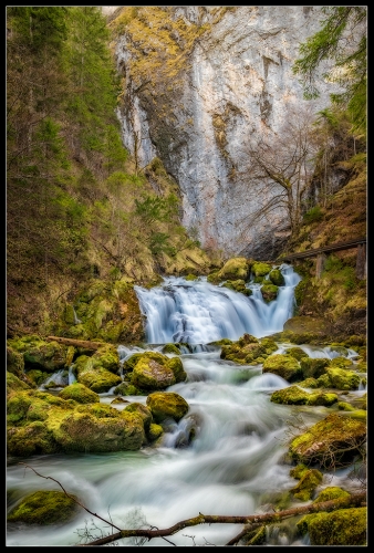 Pießling Ursprung 03_24 10