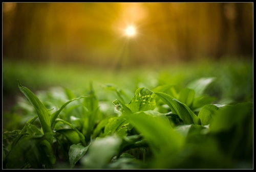 Aprilwetter 2
