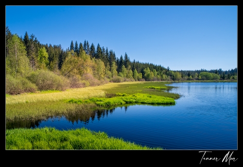 Tanner Moor 2