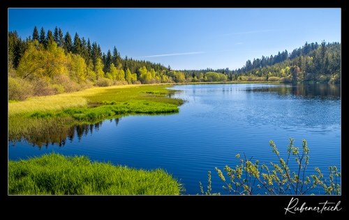 Tanner Moor 3